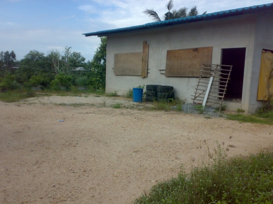 ที่ดินพร้อม บ้าน 2งาน 56 ตารางวา