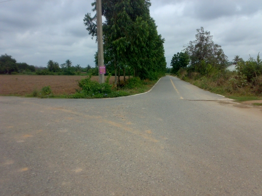 ที่ดินพร้อม บ้าน 2งาน 56 ตารางวา