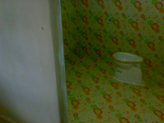 ที่ดินพร้อม บ้าน 2งาน 56 ตารางวา