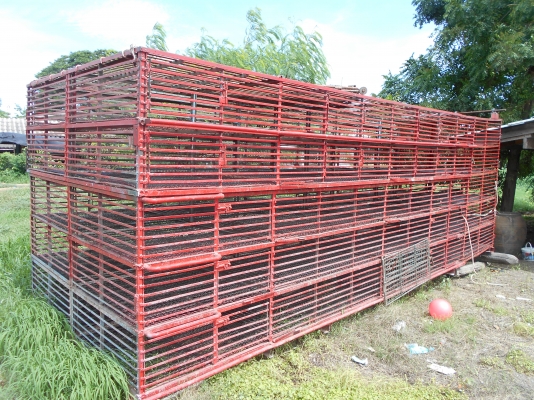 ขายกงเป็ด5ชั้นยาว5.5กว้ง206สภาพดีเลีกเลี้ยงครับ (พ่อป่วย) 0810074646ราคาต่อรองดั้ยครับ