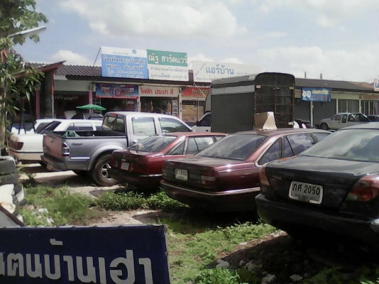 ขายด่วน เชิญไปเลือกเลย