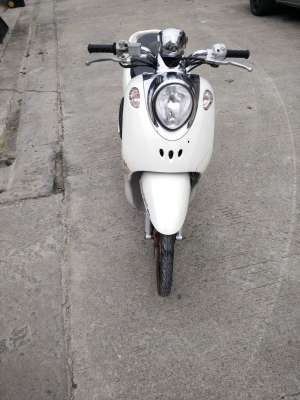 ขายฟีโน่ ขายฟีโน่