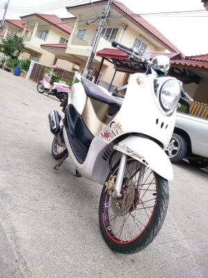 ขายฟีโน่