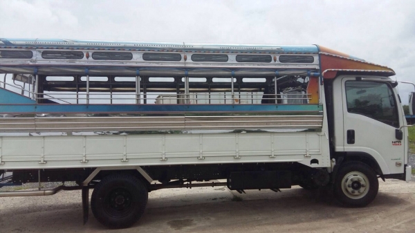 ขายรถหกล้อ Isuzu NPR ปี 54 เครื่อง 150 แรง ยางดี แอร์พร้อม ภายในสวย ทะเบียนพร้อม ขายรถหกล้อ Isuzu NPR ปี 54 เครื่อง 150 แรง ยางดี แอร์พร้อม ภายในสวย ทะเบียนพร้อม