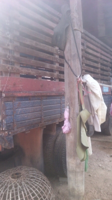 รถหกล้อมิตชูมิชิเชนเตอร์100แรงช่วงยาว