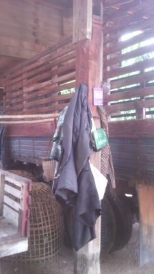 รถหกล้อมิตชูมิชิเชนเตอร์100แรงช่วงยาว