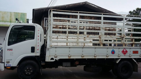 ขาย ISUZU NQR175 ปี55 กระบะยาว5.5เมตร ขาย ISUZU NQR175 ปี55 กระบะยาว5.5เมตร