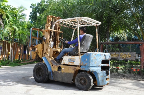 ขายFORKLIFT TCM FD25(2.5ตัน)งากระดก ดีเซล เสา3เมตร สวยเดิมจากญี่ปุ่น ยังไม่เคยใช้ในไทย 118,000เท่านั้น!! ขายFORKLIFT TCM FD25(2.5ตัน)งากระดก ดีเซล เสา3เมตร สวยเดิมจากญี่ปุ่น ยังไม่เคยใช้ในไทย 118,000เท่านั้น!!