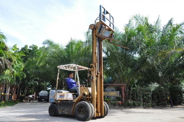 ขายFORKLIFT TCM FD25(2.5ตัน)งากระดก ดีเซล เสา3เมตร สวยเดิมจากญี่ปุ่น ยังไม่เคยใช้ในไทย 118,000เท่านั้น!!