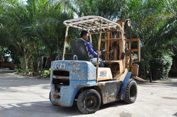 ขายFORKLIFT TCM FD25(2.5ตัน)งากระดก ดีเซล เสา3เมตร สวยเดิมจากญี่ปุ่น ยังไม่เคยใช้ในไทย 118,000เท่านั้น!! ขายFORKLIFT TCM FD25(2.5ตัน)งากระดก ดีเซล เสา3เมตร สวยเดิมจากญี่ปุ่น ยังไม่เคยใช้ในไทย 118,000เท่านั้น!!