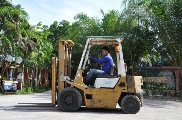 ขายFORKLIFT TCM FD20 (2ตัน) ดีเซล เสา3เมตร สวยเดิมจากญี่ปุ่น ยังไม่เคยใช้ในไทย 138,000เท่านั้น!!