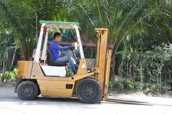 ขายFORKLIFT TCM FD20 (2ตัน) ดีเซล เสา3เมตร สวยเดิมจากญี่ปุ่น ยังไม่เคยใช้ในไทย 138,000เท่านั้น!!