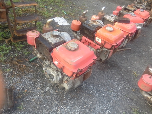 เหมา  อีที  95