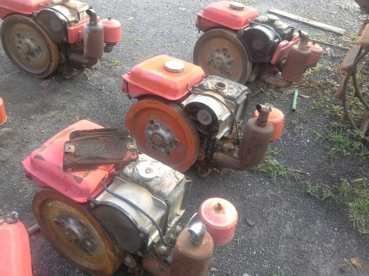 เหมา  อีที  95