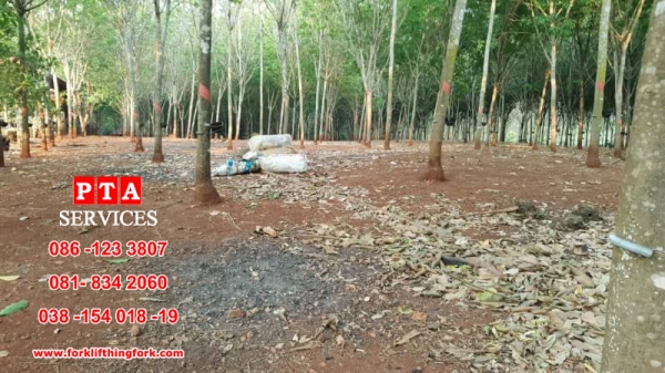 แหล่งรวมรถโฟล์คลิฟท์งาเทอิ้งค์ฟอร์คสำหรับตักยางก้อนยางพาราและยางถ้วยขี้ยาง081-8342060 แหล่งรวมรถโฟล์คลิฟท์งาเทอิ้งค์ฟอร์คสำหรับตักยางก้อนยางพาราและยางถ้วยขี้ยาง081-8342060