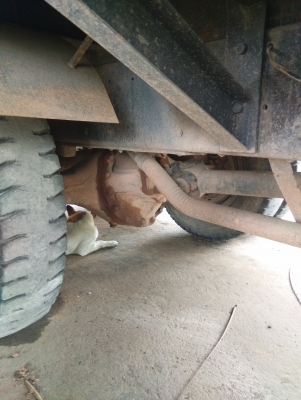 ขายสิบล้อสองเพลา เครื่อง175 เบรคจิฟฟี่ ขายสิบล้อสองเพลา เครื่อง175 เบรคจิฟฟี่