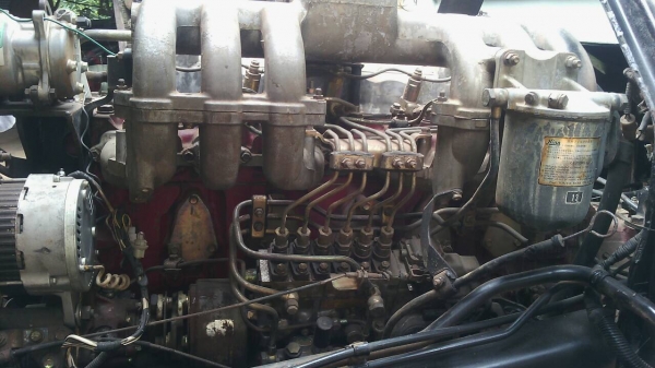 ฝากขาย 10ล้อดั้ม FM3M   240 แรง. สภาพพร้อมใช้