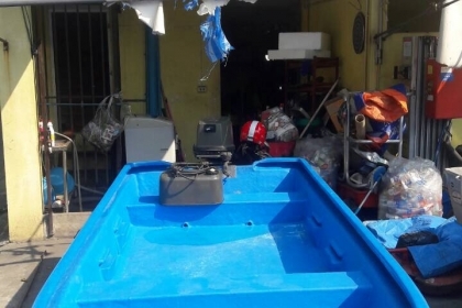 ขาย เรือ ไฟเบอร์ 3 ลอน 13 ฟุต พร้อมเครื่องYamaha 30 แรง + ถังน้ำมัน เครื่องเดินปกติ (ไม่รวมเทเลอร์ ) ราคา 73,000