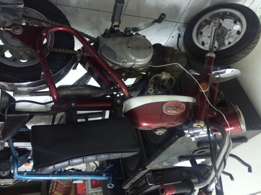 ขาย honda z50 k2 หลังแข็ง