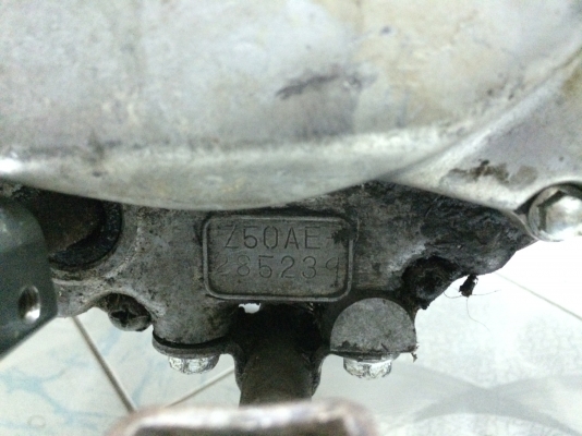 ขาย honda z50 k2 หลังแข็ง