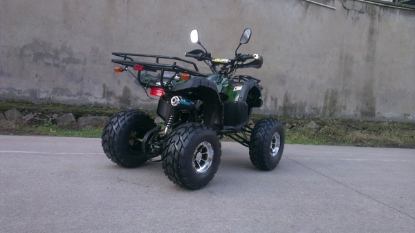 ATV 125 Mini Bear
