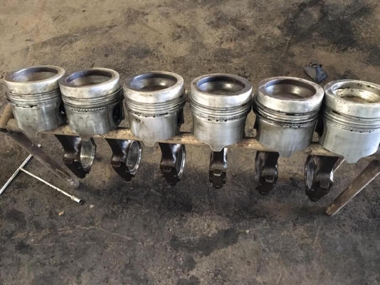 ขายแล้ว