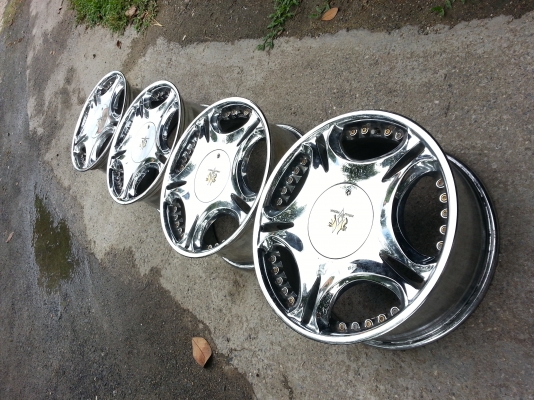 ขอบ17 ม้าทองvip หมุดทอง