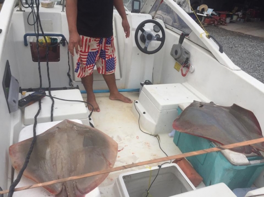 เรือนิสสัน ขนาด17ฟุต เครื่อง50แรงทริมไฟฟ้า