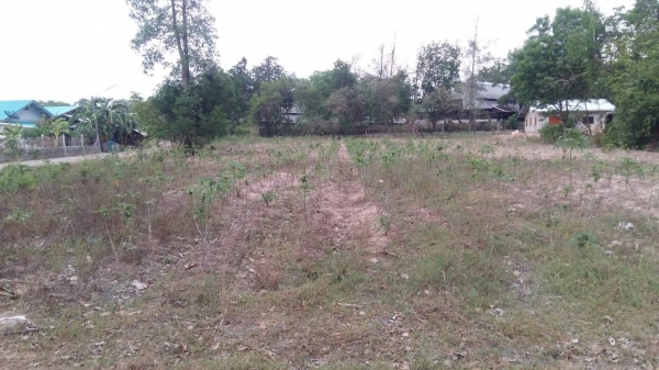 ขายที่ดินเปล่า ที่ อ.พนมสารคาม ขายที่ดินเปล่า ที่ อ.พนมสารคาม
