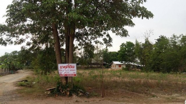 ขายที่ดินเปล่า ที่ อ.พนมสารคาม