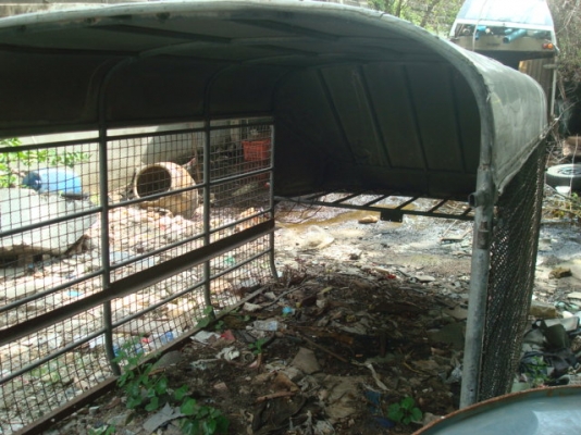 ขาย2000 ขาย2000