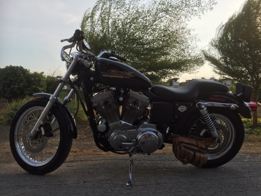 HARLEY 883 ปี 2001 HARLEY 883 ปี 2001