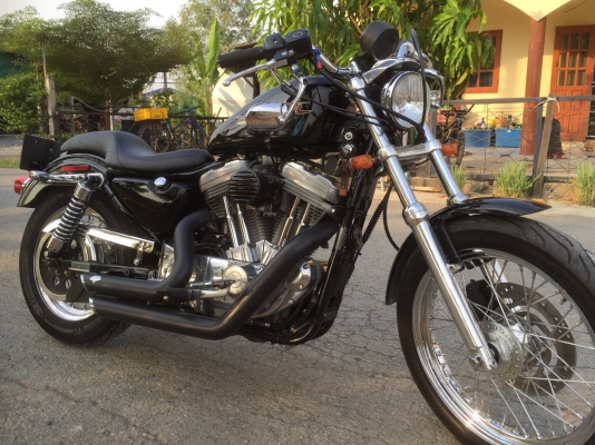 HARLEY 883 ปี 2001