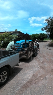 ขายแล้วครับถูก....ฮีโน 22 แรง พร้อมใช้งานลดเหลือ 29000