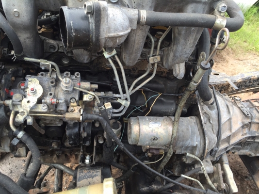 ขายเครื่องมังกรทอง ISUZU 4-JA1 ราคา 30,000 บาท ขายเครื่องมังกรทอง ISUZU 4-JA1 ราคา 30,000 บาท