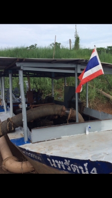 ขาย900,000 เรือดูดทรายครบชุดเล่มทะเบียน เครื่อง MITSUBISHI V8DC11 เครื่องดี ปั้มดูดแรงดี กล่องลูกปืนเปลี่ยนใหม่เรือสวยพร้อมดูด 090-772-3710 090-772-3708