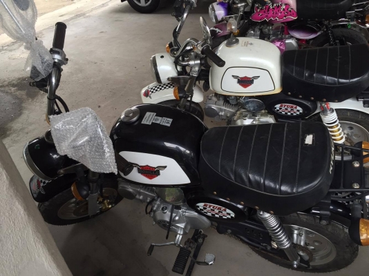 ขายกอลิล่า ป้ายแดงตกรุ่น ขายกอลิล่า ป้ายแดงตกรุ่น