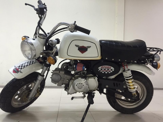 ขายกอลิล่า สีขาว