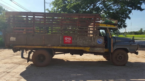 ขาย 6 ล้อ หัวยาว เครื่อง 6BB1 145 แรงม้า คัสซีสวยตลอดเส้น ทะเบียนพร้อมโอนครับ ขาย 6 ล้อ หัวยาว เครื่อง 6BB1 145 แรงม้า คัสซีสวยตลอดเส้น ทะเบียนพร้อมโอนครับ