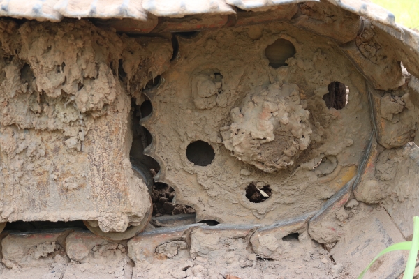 ขายรถแบคโฮ KOMATSU PC 60  10 HT 195000