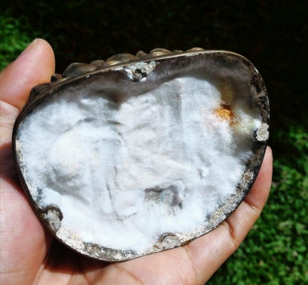 หลวงปู่ดู่ พรหมปัญโญ พระสังกัจจายน์ปี 2530 เนื้อทองเหลืองขัดเงา ตอกโค๊ดที่หลัง จานยันต์หลัง ใต้ฐานบรรจุจีวร ลูกแก้วจักรพรรดิ์ พระเหนือพรหม และแผ่นตะกรุดยันต์ ครบสูตร ขนาดหน้าตัก 3.5นิ้ว สูง 4นิ้ว สภาพสวยเก่าเก็บแบบนี้หายากแล้วครับ