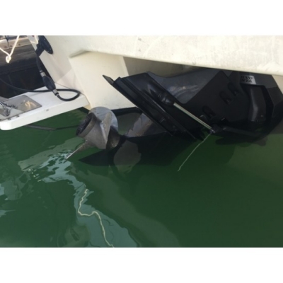 ขายเรือตกปลาไฟเบอร์ Catamaran Nissan SunCat 8 มือสองญี่ปุ่น