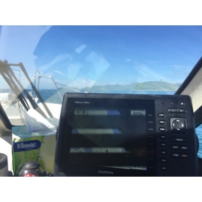 ขายเรือตกปลาไฟเบอร์ Catamaran Nissan SunCat 8 มือสองญี่ปุ่น