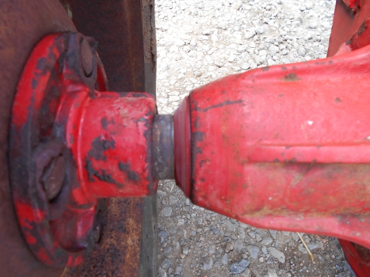 ตัวรุ้งเพชรสวยสภาพดี ตัวยังมั่ยเคยเปีดครับสนจัย  0810074646 ครับอ่างทอง