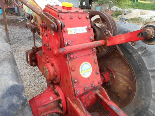 ตัวรุ้งเพชรสวยสภาพดี ตัวยังมั่ยเคยเปีดครับสนจัย  0810074646 ครับอ่างทอง