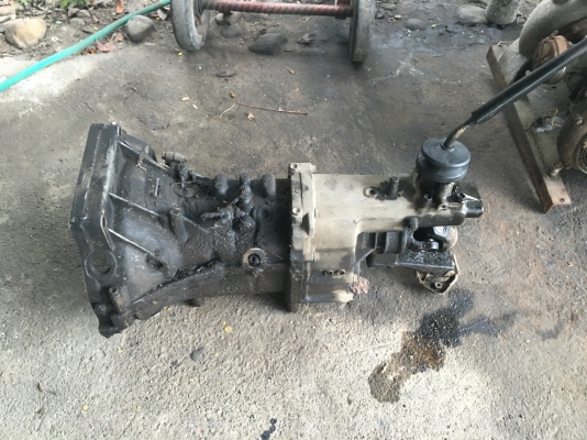 เกียร์เมนคาริเบี้ยน