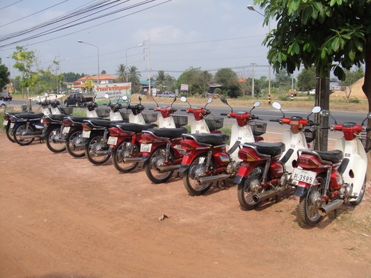 ขายฮอนด้าดรีม คุรุสภา สภาพสวยพร้อมใช้งาน (ทะเบียนพร้อมชุดโอน ) มีรถให้เลือก 25 คัน