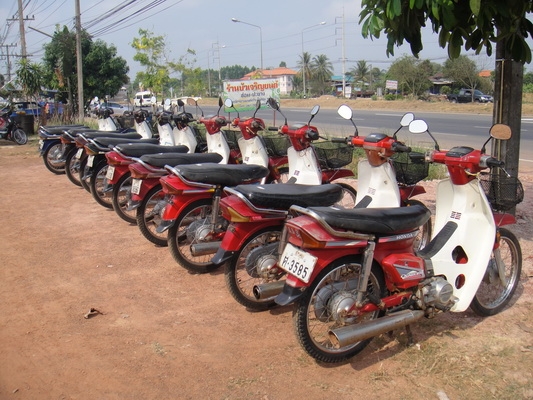 ขายฮอนด้าดรีม คุรุสภา สภาพสวยพร้อมใช้งาน (ทะเบียนพร้อมชุดโอน ) มีรถให้เลือก 25 คัน