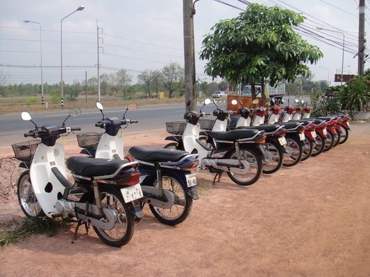 ขายฮอนด้าดรีม คุรุสภา สภาพสวยพร้อมใช้งาน (ทะเบียนพร้อมชุดโอน ) มีรถให้เลือก 25 คัน