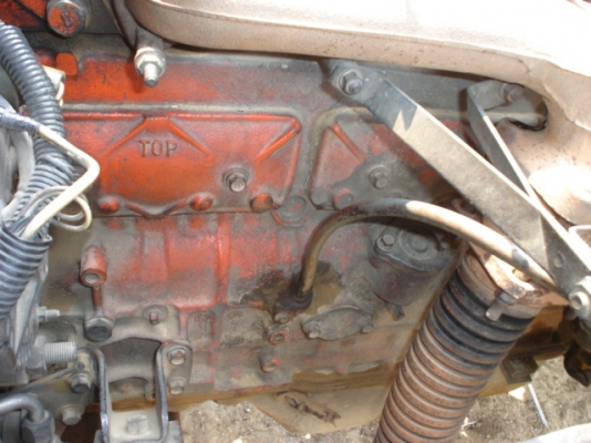 ขายไปให้กับเสี่ยนนินธิ์ อ.เมืองสารคราม แล้วครับ ขอบคุณเสี่ยนิล ขายไปให้กับเสี่ยนนินธิ์ อ.เมืองสารคราม แล้วครับ ขอบคุณเสี่ยนิล